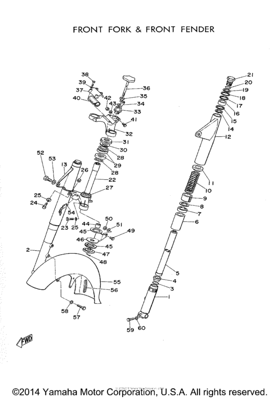 Front fork and fender