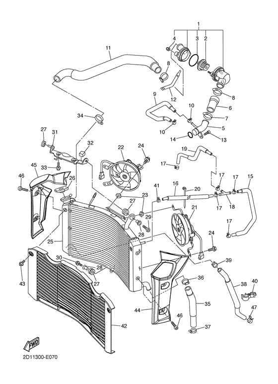 Radiator & hose