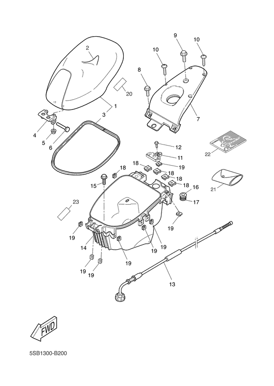 Seat & carrier