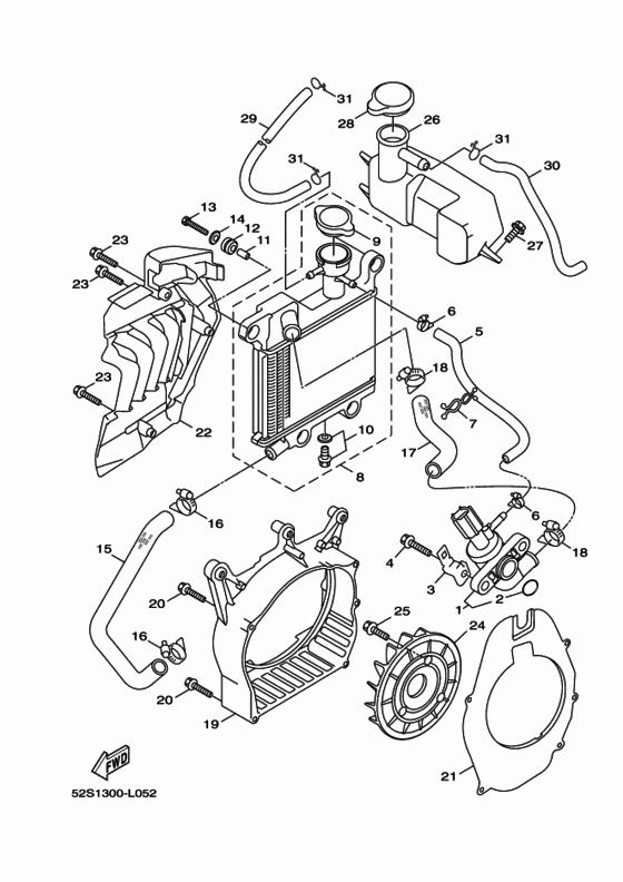 Radiator & hose