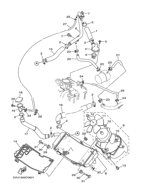 Radiator & hose