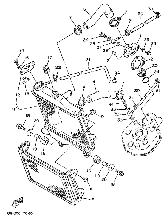 Radiator. hose