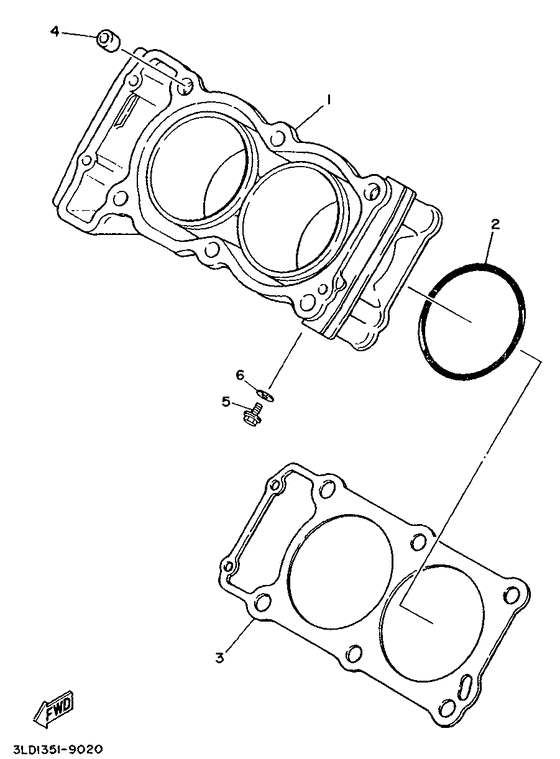 TDM850E Цилиндры