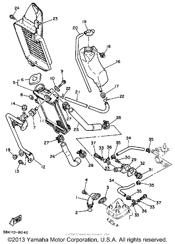 Radiator - hose