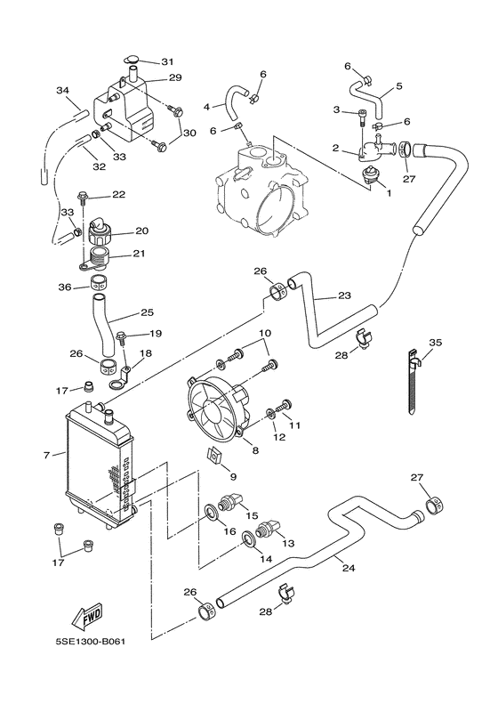 Radiator & hose