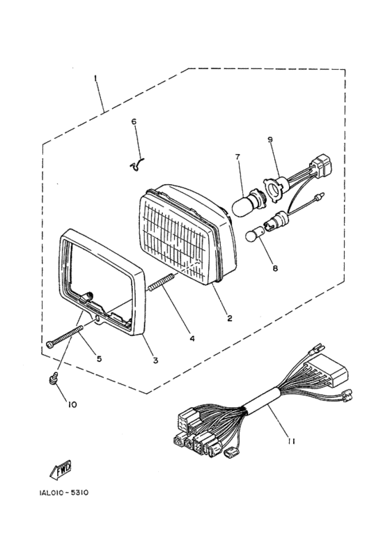 V50ED ﾍﾂﾄﾞﾗｲﾄ