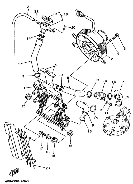 Radiator. hose