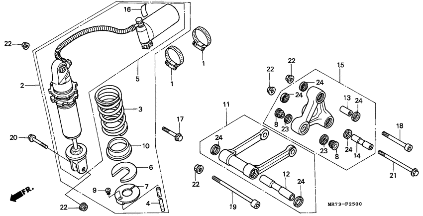 Rear cushion