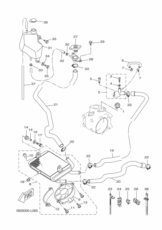 Radiator & hose