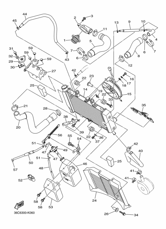 Radiator & hose