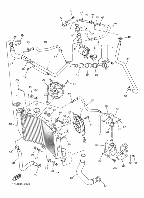 Radiator & hose