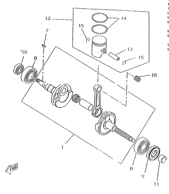 CW50RS Коленчатый вал и поршни