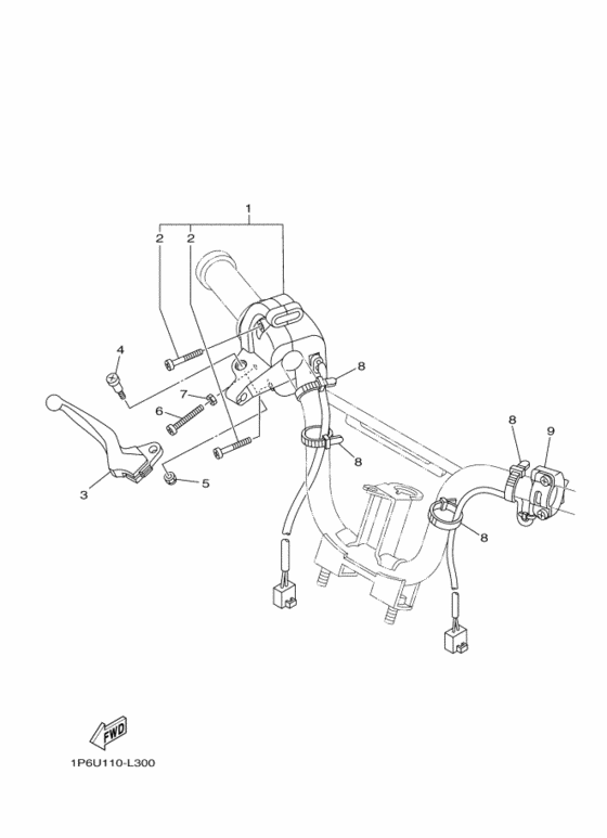 Handle switch & lever