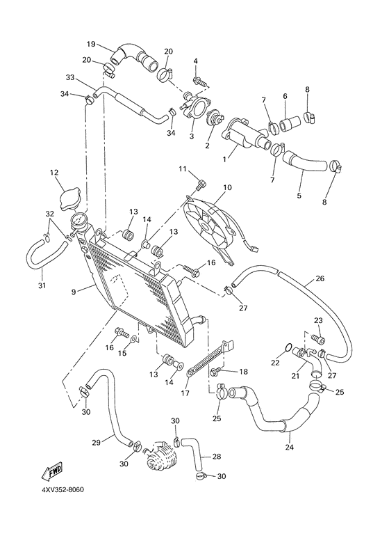 Radiator. hose