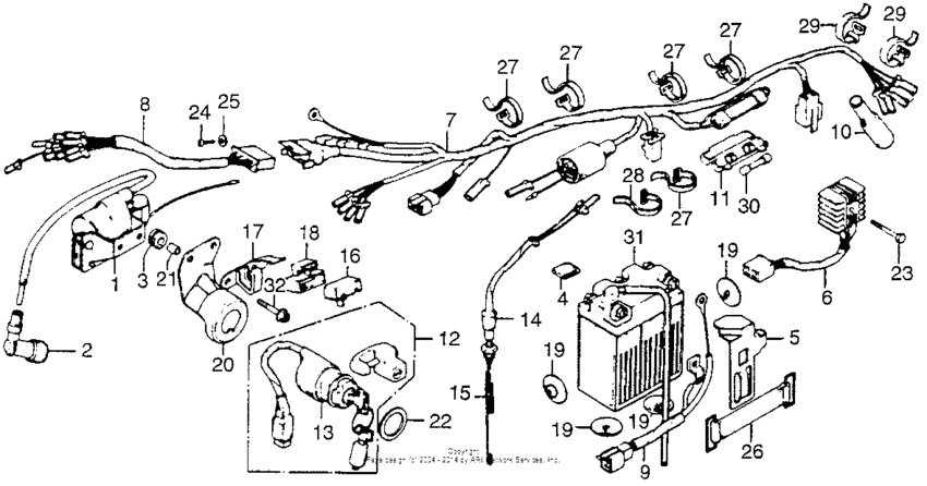 Wire harness + ignition coil