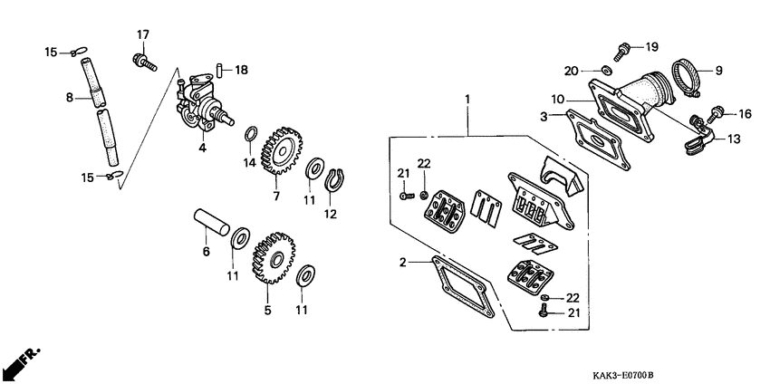 Oil pump/reed valve