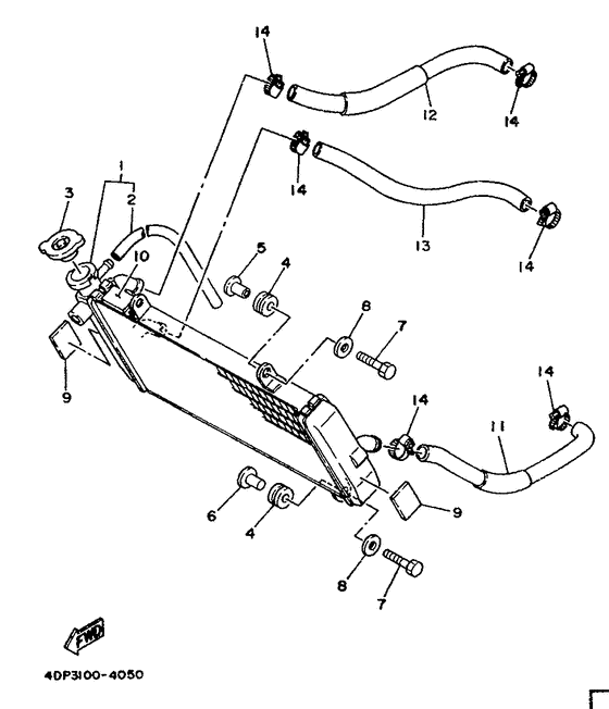 Radiator. hose