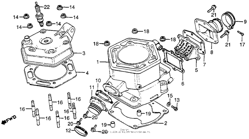Cylinder head + cylinder + reed valve 81-82