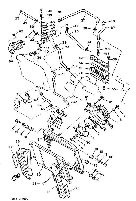 Radiator. hose