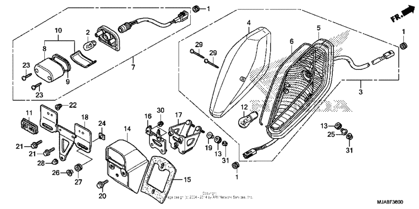 Taillight (1)