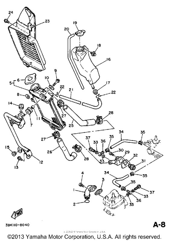 Radiator - hose