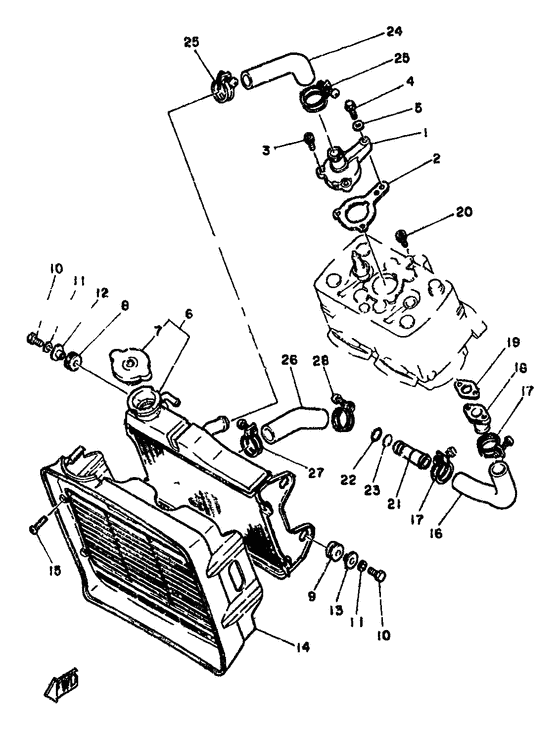 Radiator. hose