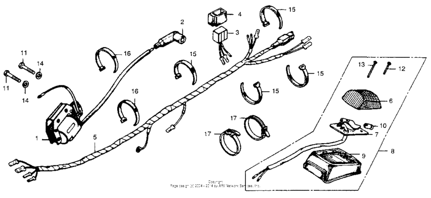 Wire harness + taillight