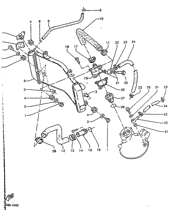 Radiator. hose