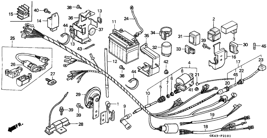 Wire harness/battery