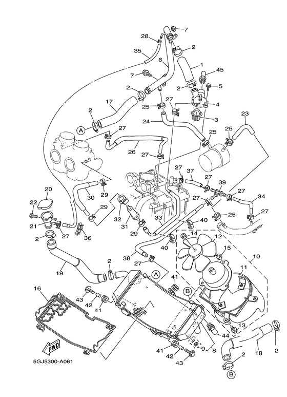 Radiator & hose