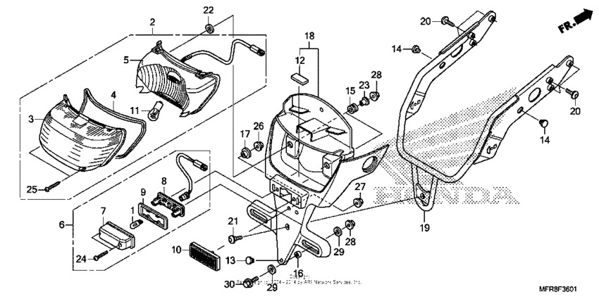 Taillight + license light (2)