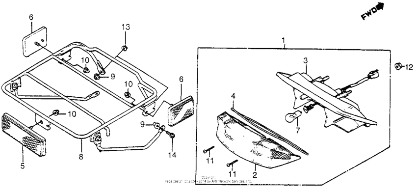 Taillight + rear carrier