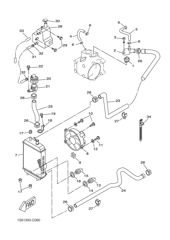 Radiator & hose