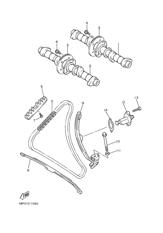 Camshaft. chain
