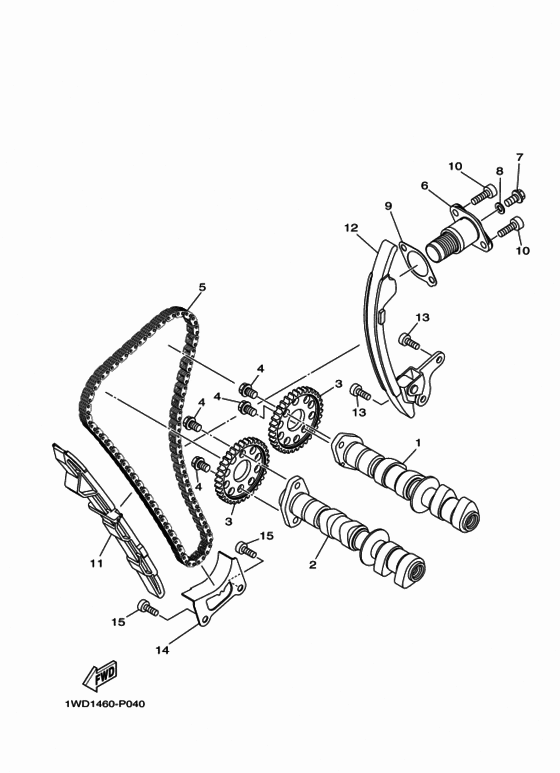 Camshaft & chain