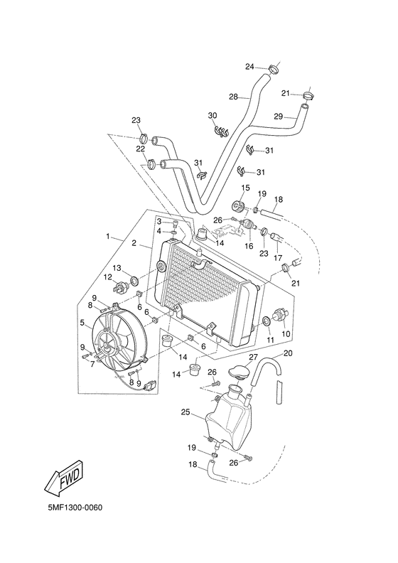 Radiator. hose