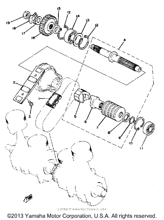 Primary shaft - chain