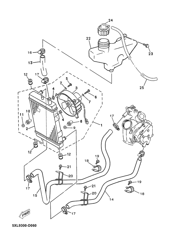 Radiator & hose