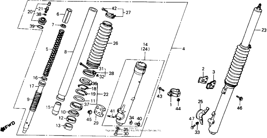 Front shock absorber 81-83
