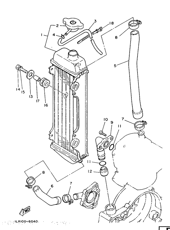 Radiator. hose