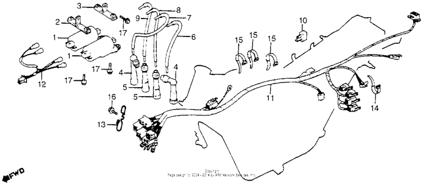 Wire harness + ignition coil