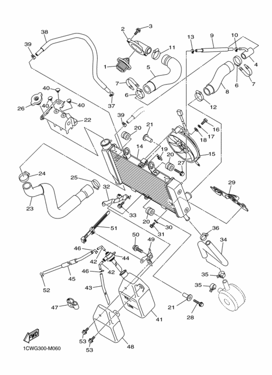 Radiator & hose
