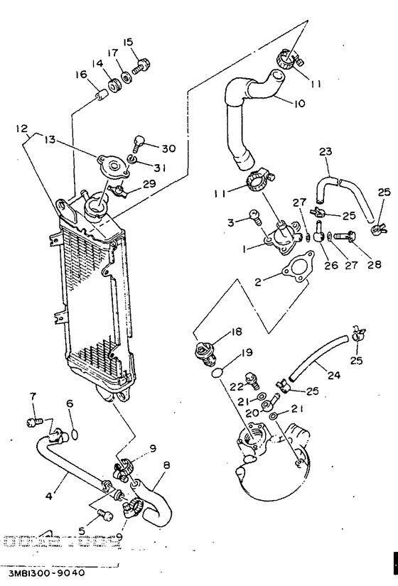 Radiator. hose
