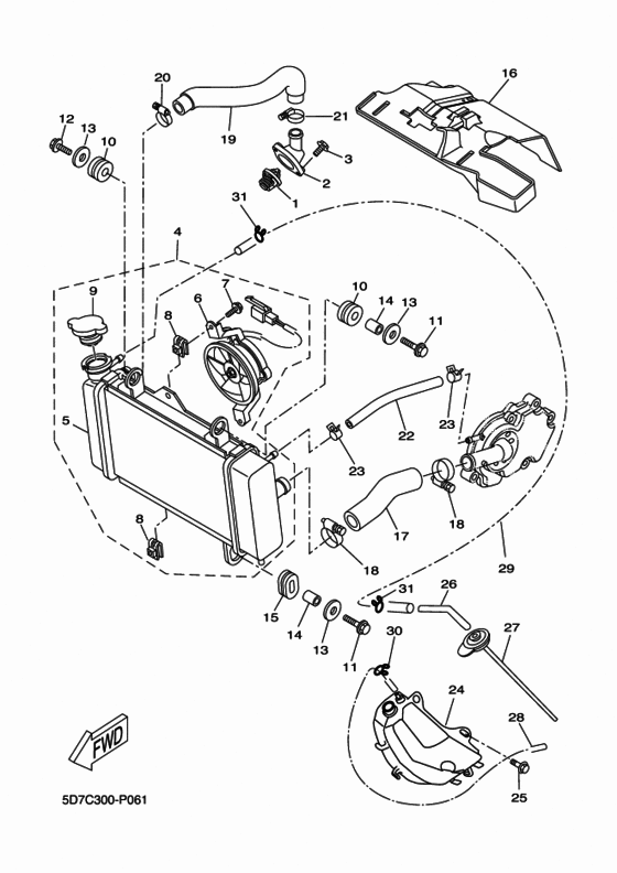 Radiator & hose