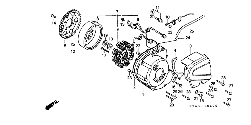 Left crankcase cover/ generator