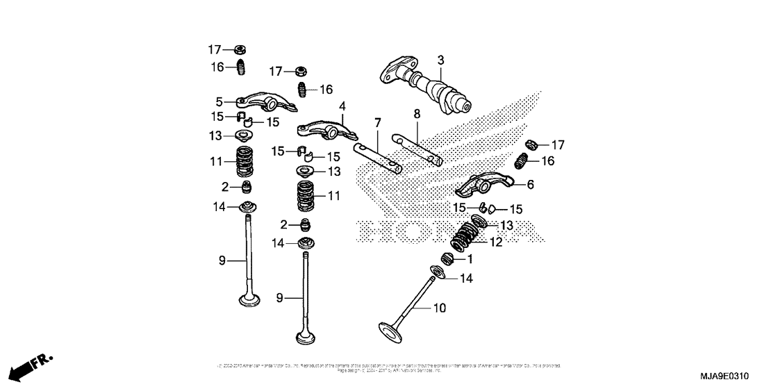 Camshaft + Valve (Rr.)