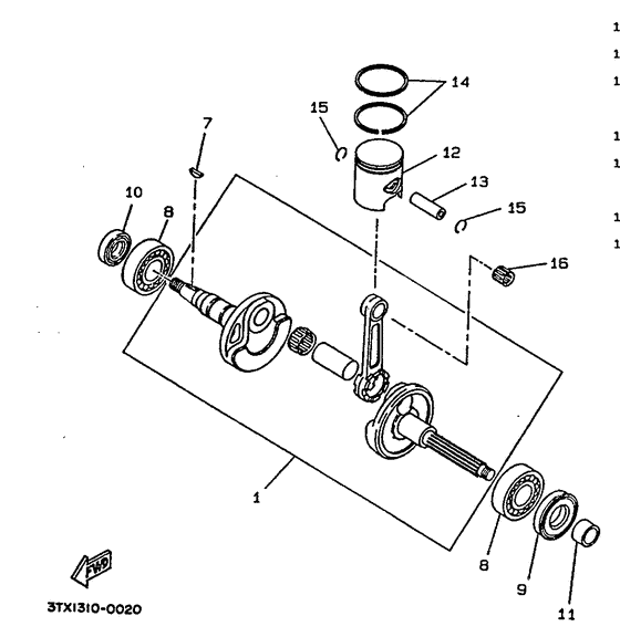 CW50 Ciguenal. pisttn
