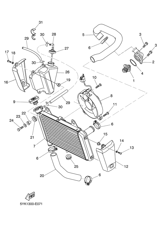Radiator & hose