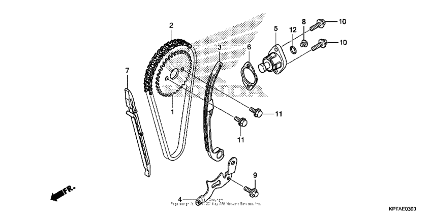 Cam chain + tensioner
