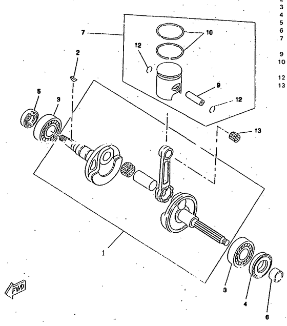 CW50RSP Ciguenal. pisttn